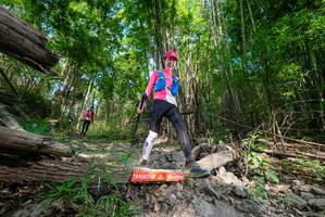 BIB: 
                            <button type="button" onclick="openModal(19390036)" class="btn btn-primary btn-sm float-right btn-popup" data-toggle="modal" data-target=".modal-high-quality">
                        <i class="fas fa-shopping-cart"></i> Add to Cart
                    </button>
                                            <button type="button" onclick="isThisMe(19390036, true)" class="btn btn-success btn-sm float-right btn-popup btn-isme hidden" data-toggle="tooltip" data-placement="bottom" title="นี่คือรูปของคุณใช่ไหม คลิกที่นี่เพื่อเอาเข้าอัลบั้ม">
                        <i class="fas fa-plus"></i> Add to album
                    </button>
                    <button type="button" onclick="isThisMe(19390036, false)" class="btn btn-warning btn-sm float-right btn-popup btn-isnotme hidden">
                        <i class="fas fa-ban"></i> Remove from album
                    </button>